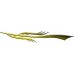 Dart_105